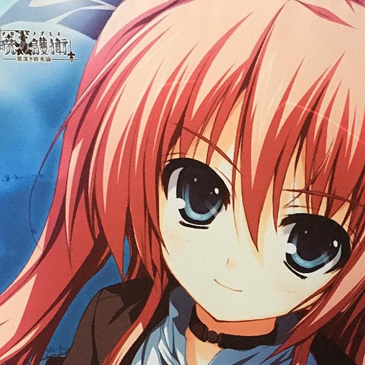 暁の護衛 二階堂麗華 タペストリー 9本セット 【稀少品】 - メルカリ