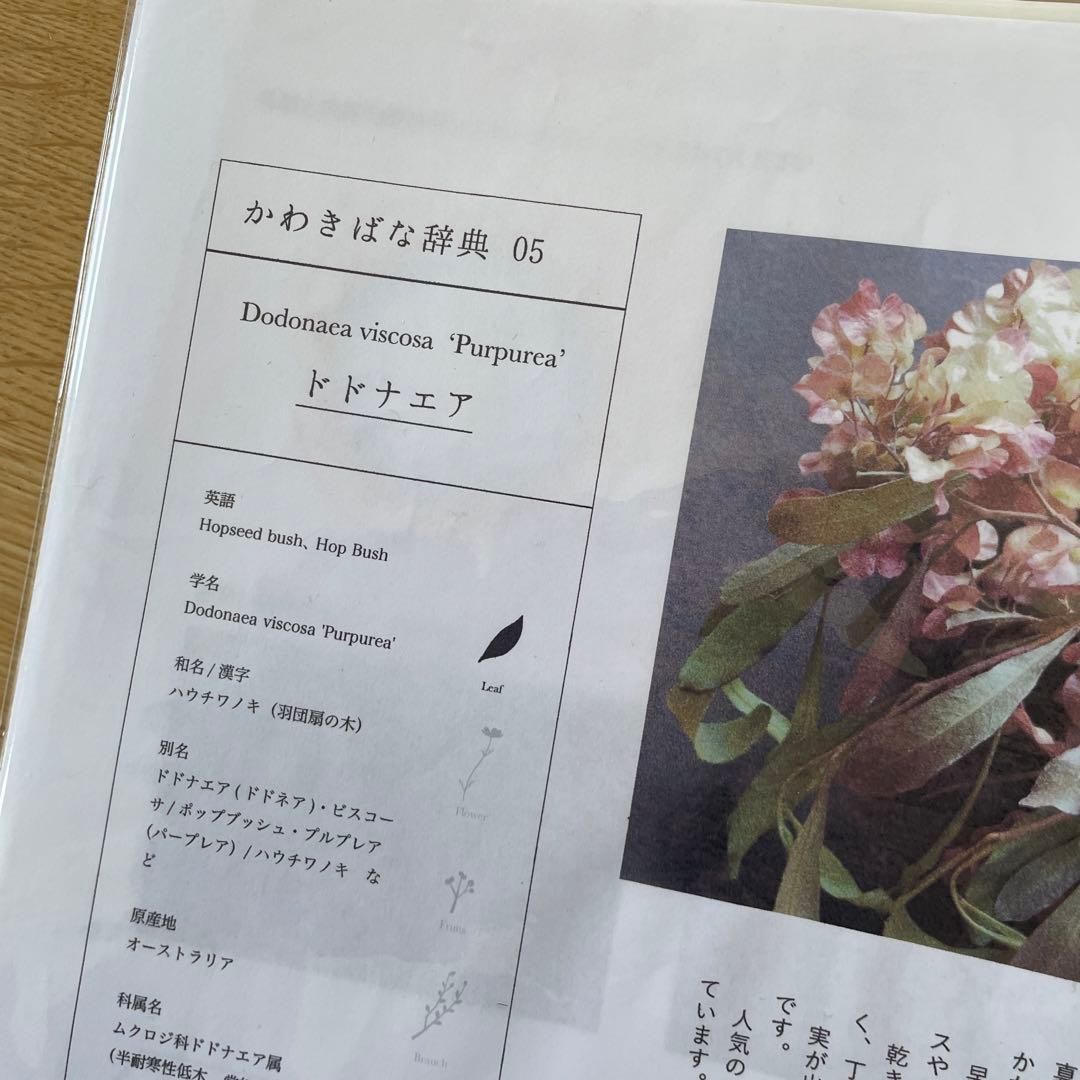 かわきばな通信レッスン全資料＋出版記念DVD