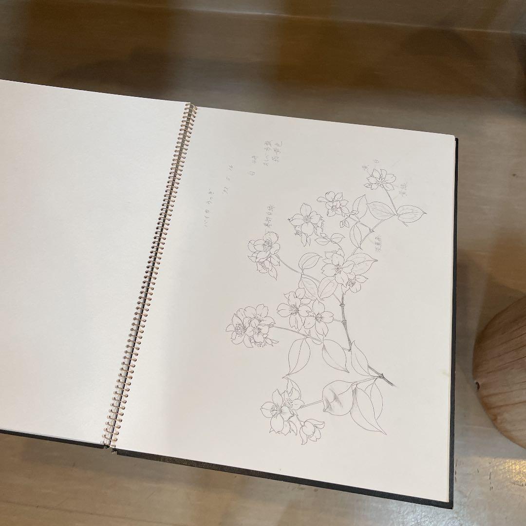 河村大蔵　蔵石　スケッチブック