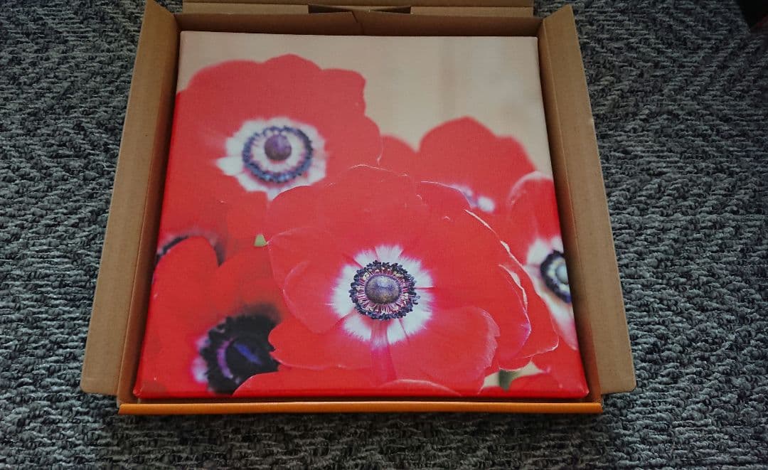 未使用 ArtDeli アート ポスター 自然 植物花系 まとめて 8個