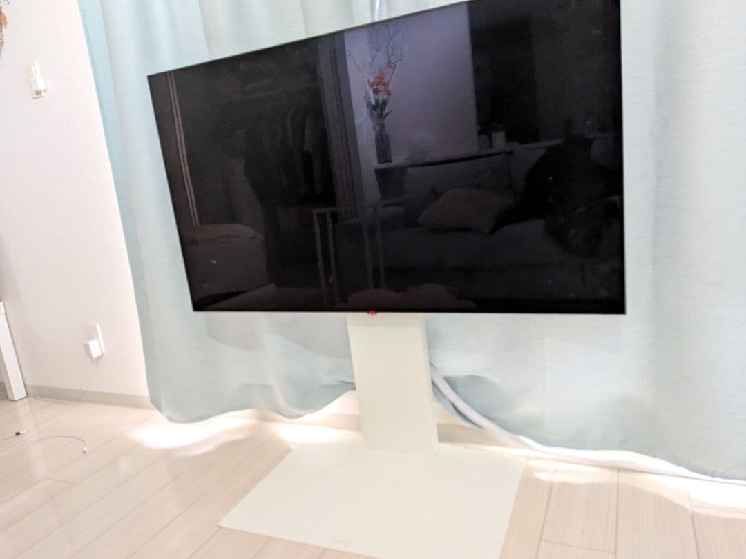 格安　LG有機ELテレビ　55インチ lg有機elテレビ 55」の人気商品一覧 | 安い商品を通販サイトから探す