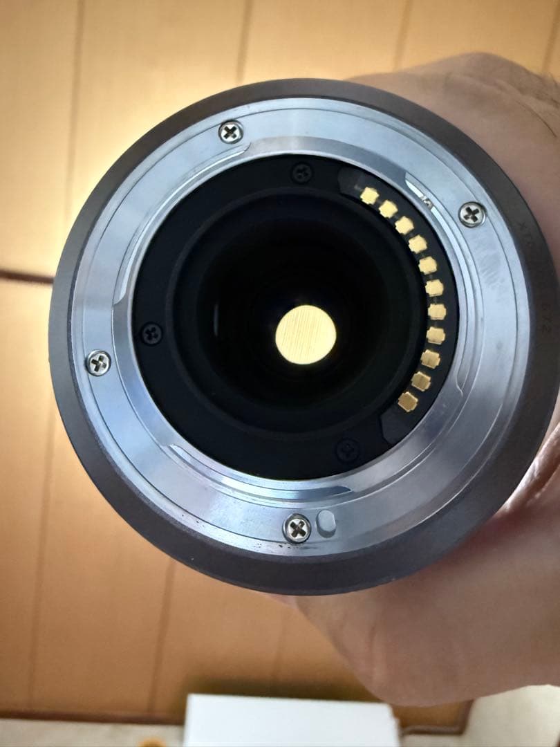 【送料無料】LUMIX 45-200mm f/4.0-5.6 レンズ