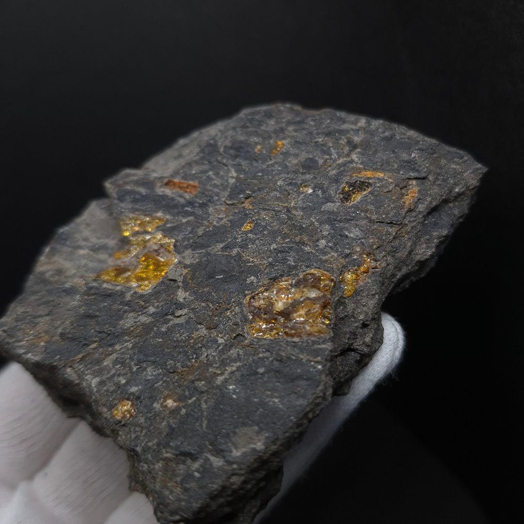 母岩付き 琥珀 化石 本物 87.71mm fab1