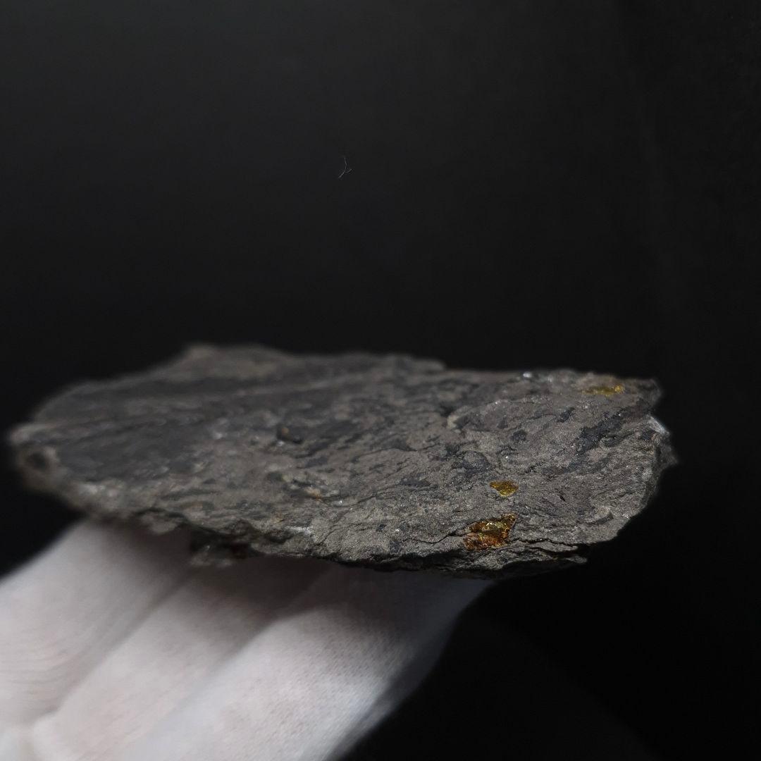 母岩付き 琥珀 化石 本物 87.71mm fab1