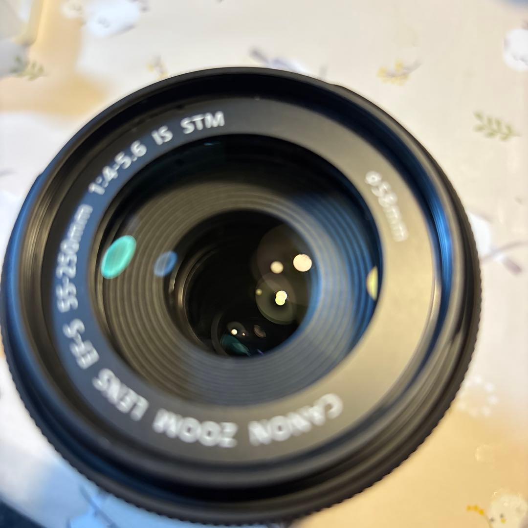 レンズ(ズーム) EF-S55-250mm f/4-5.6 IS STM