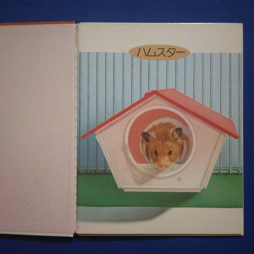 かがくのとも ビッグサイエンス キンダーブックしぜん ハムスターの