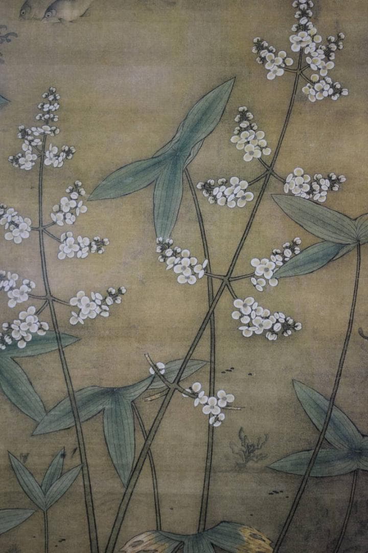 複製/繆輔/魚藻図/鯉/川魚/鮒画賛/工芸/布袋屋掛軸HJ-