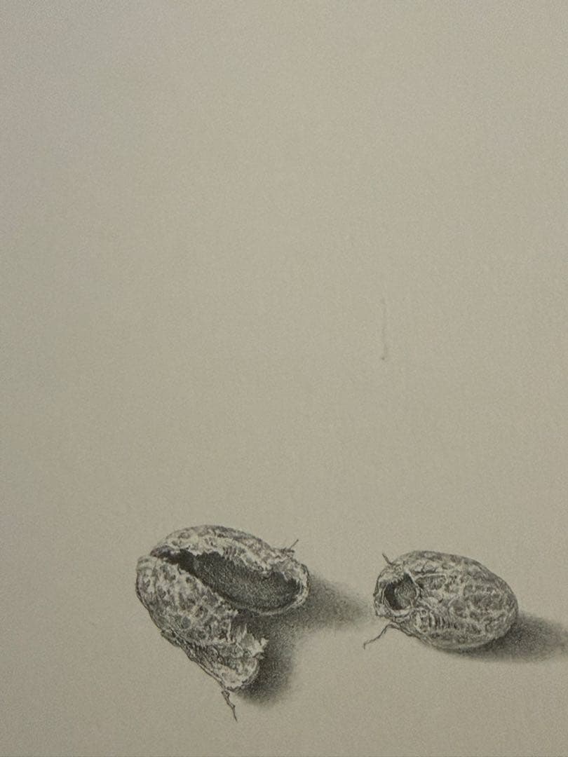 野田弘志 鉛筆・水彩画展 作品図録 - メルカリ