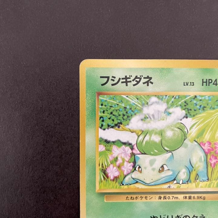 ポケモンカード 旧裏 フシギダネ 初版 マークなし プロモ レア No.1