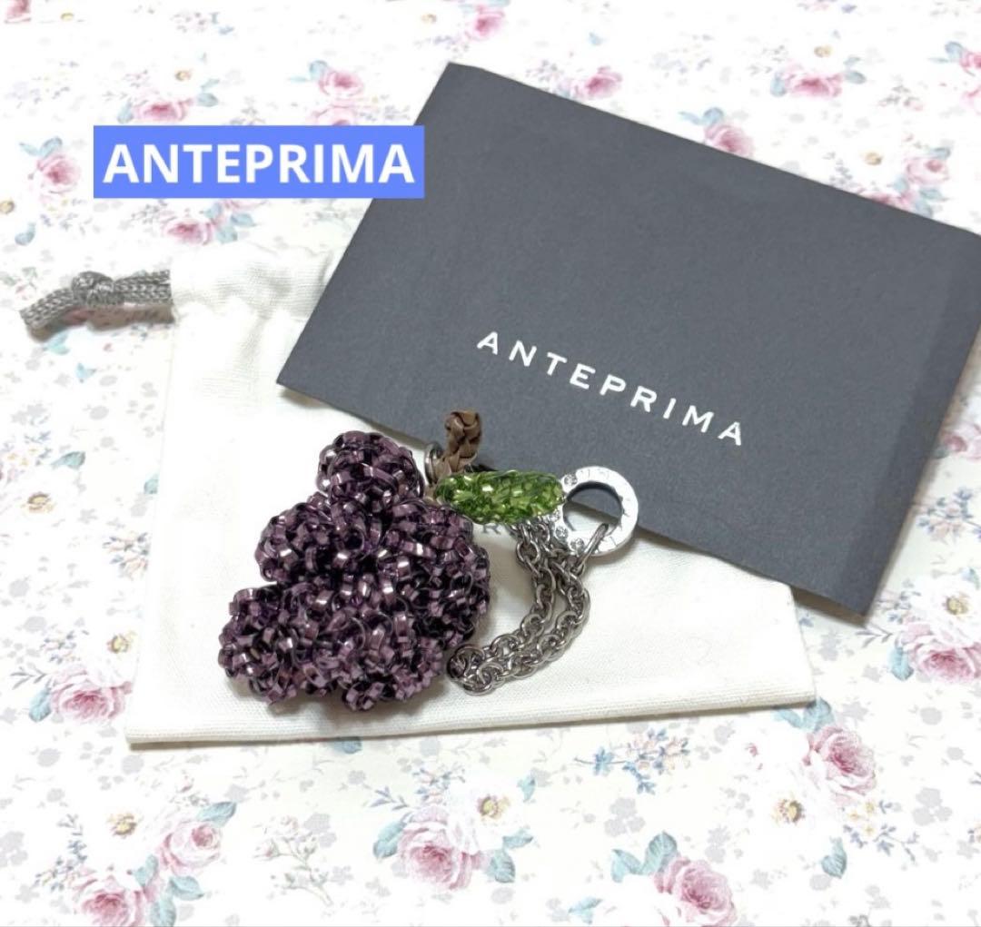 ☆アンテプリマ☆モティーヴォ フルッタ グレープ ワイヤーチャーム 春夏のMOTIVO FRUTTA(モティーヴォ フルッタ)に続いて、この秋冬新作