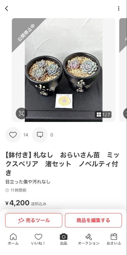 まつ　おまとめ