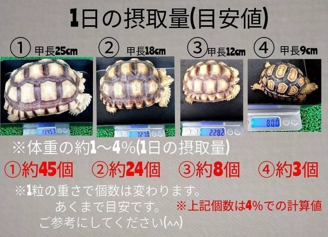 【11.34kg】リクガメフード　トータスダイエット5Ｍ21