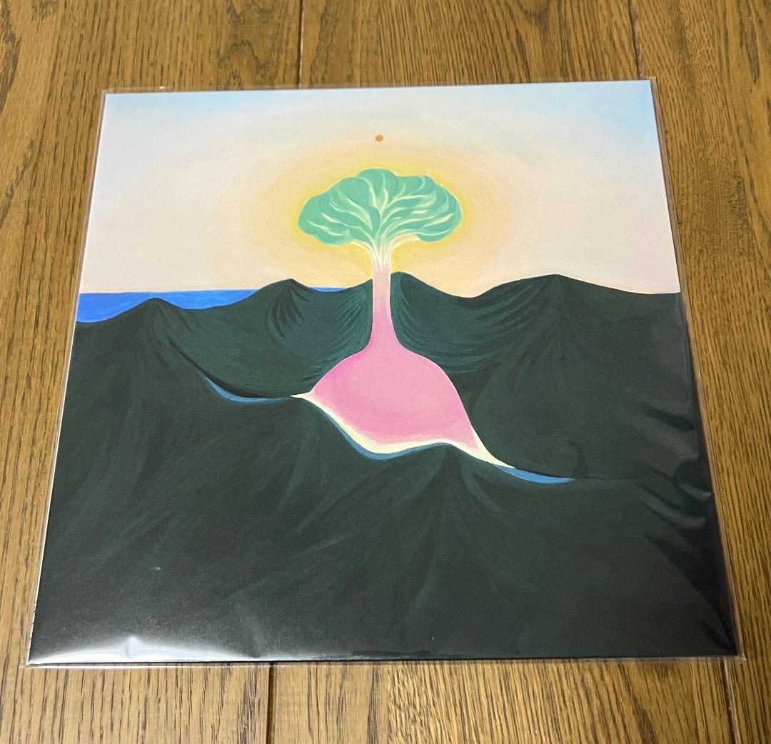 新品 EVISBEATS & NAGIPAN / 萃点 アナログ レコード - メルカリ