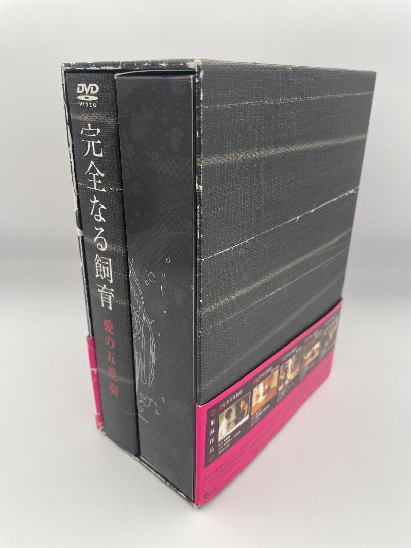 完全なる飼育 BOX ~愛の五重奏~ [DVD] 5枚組 ボックスセット 特典揃
