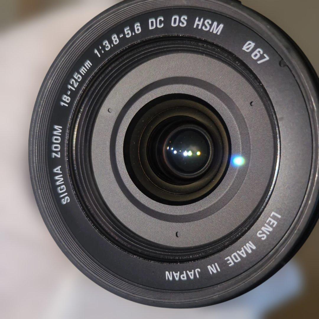 Nikon D80 シグマ18-125mmレンズ付き 動作確認済 CCDセンサー - メルカリ