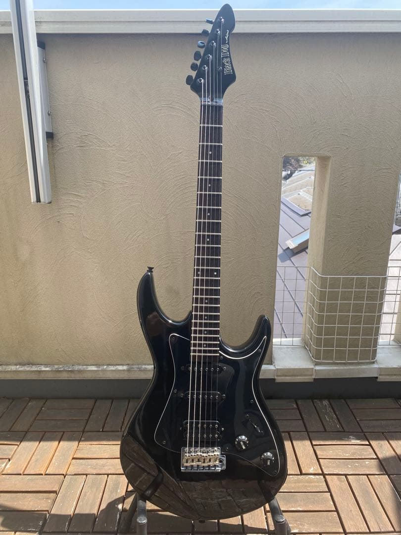 Black Dog by Aria proII(ストラトキャスター タイプ) - メルカリ