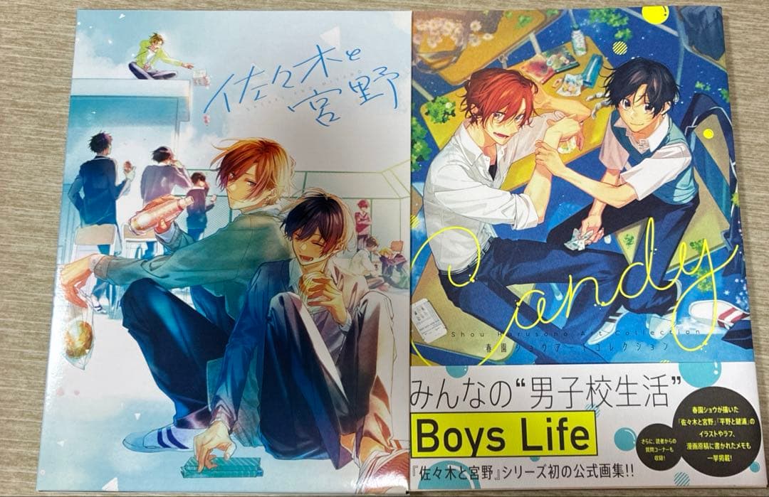 佐々木と宮野 平野と鍵浦 春園ショウアートコレクション 画集 収納box