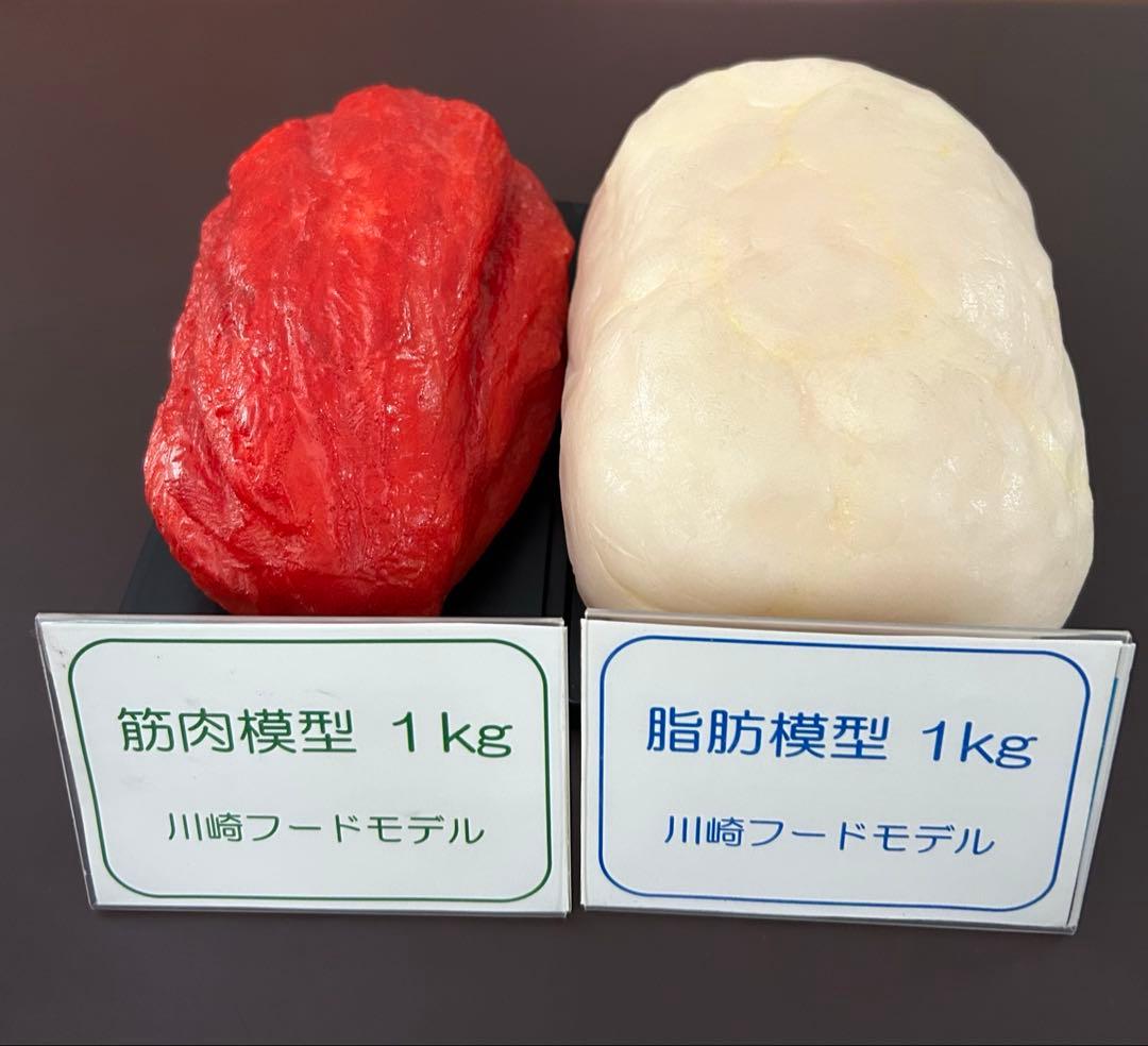 り*ん様 筋肉模型 脂肪模型 1kg 川崎フードモデル - メルカリ