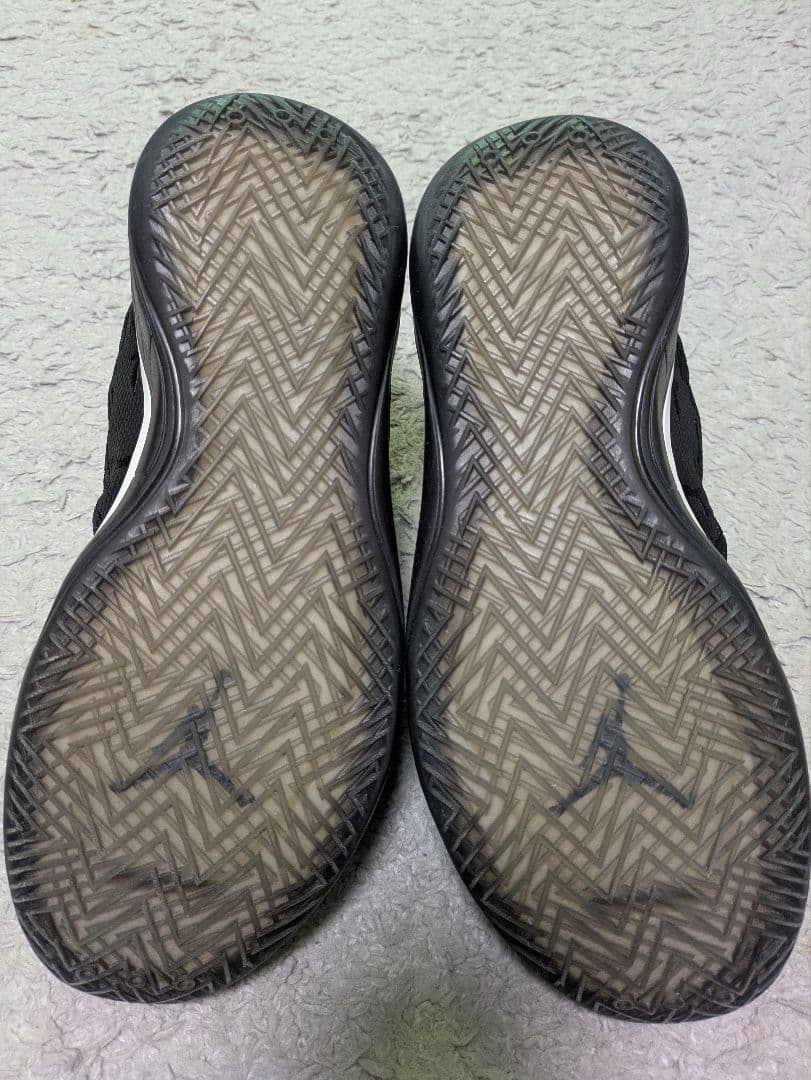 Nike Air Jordan 39 \"Lumier\" 26.0cm美中古