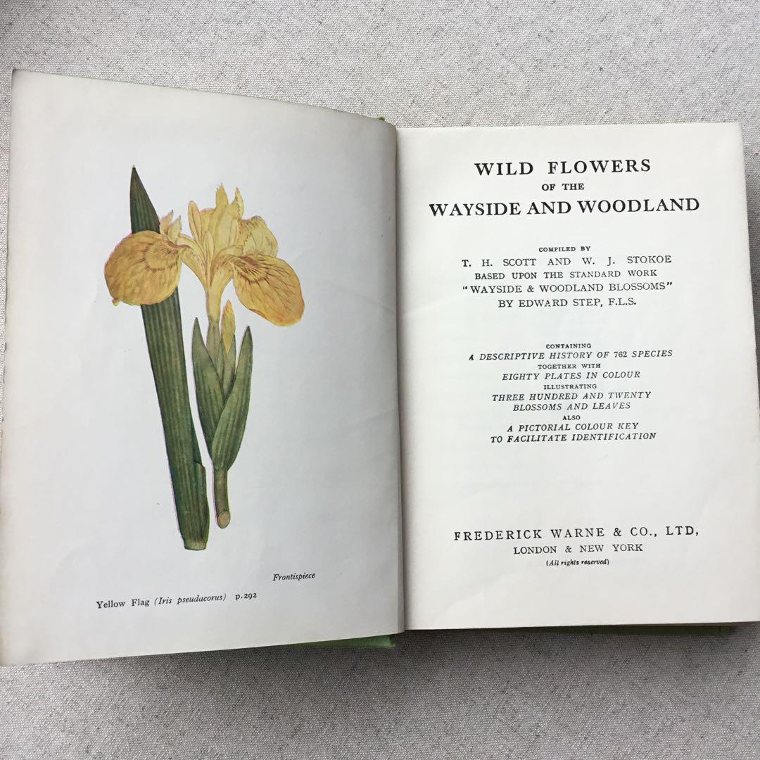 植物図鑑 古書 アンティーク洋書 Wild Flowers ボタニカル - メルカリ