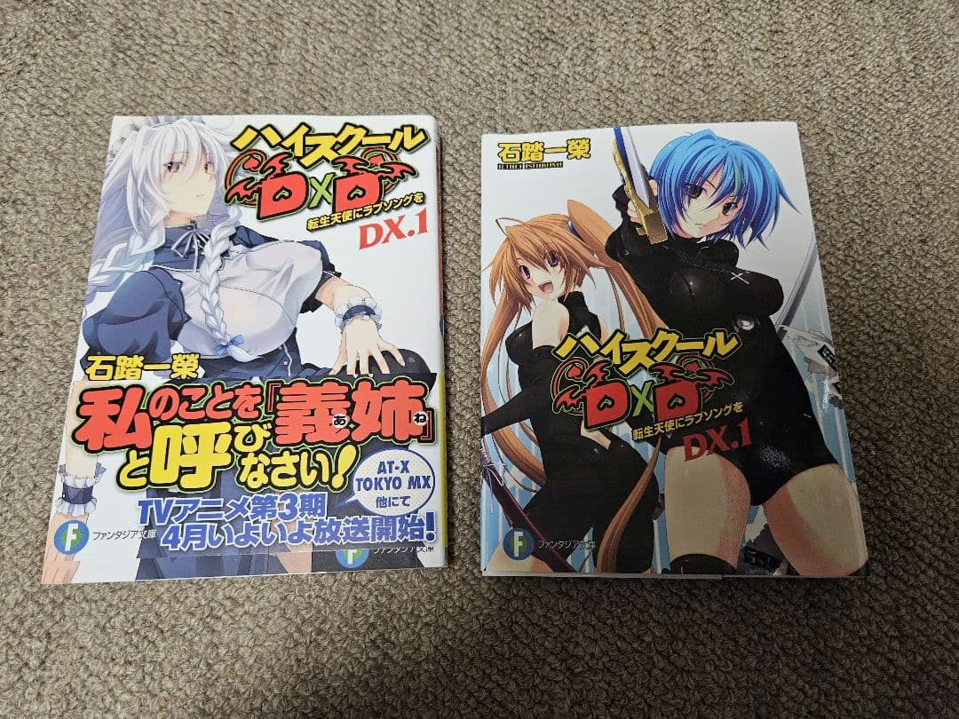 ハイスクールD×D DX 1巻 ゲーマーズ 特典 ブックカバー - メルカリ