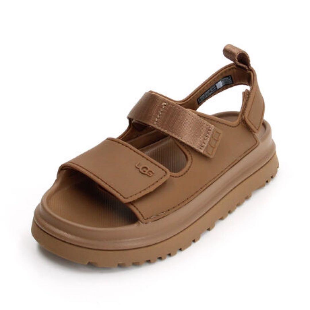 【19.5cm】UGG ゴールデングロウ