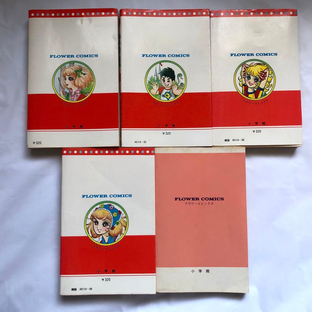 愛の泉 細川智栄子 全巻(1〜5巻)セット - メルカリ