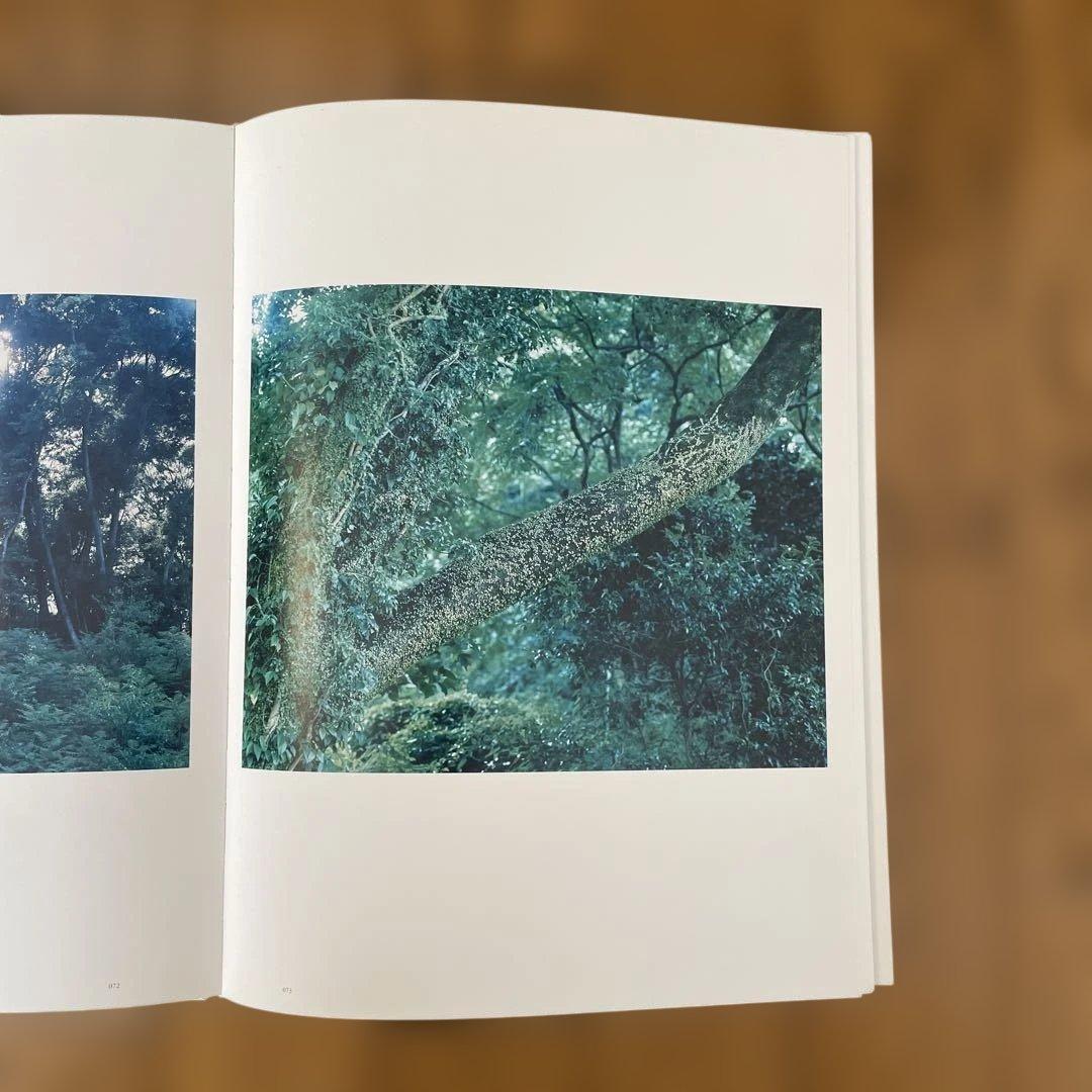 鈴木理策「Stream of consciousness」写真集