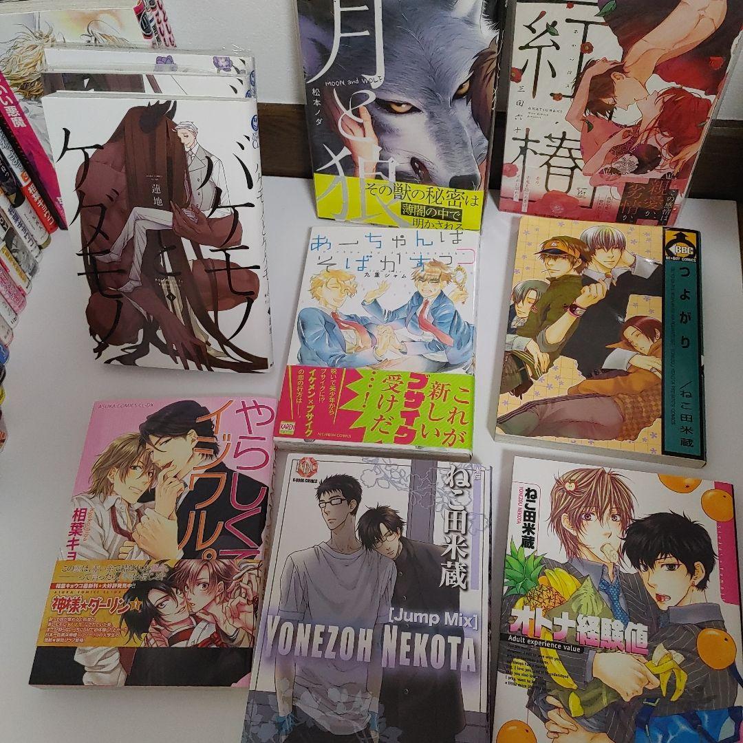 BL本　商業BL　小説　まとめ売り　サイン本　世界一初恋　blコミック