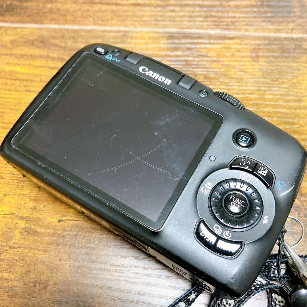 Canon Powershot SX110 IS 単三電池起動