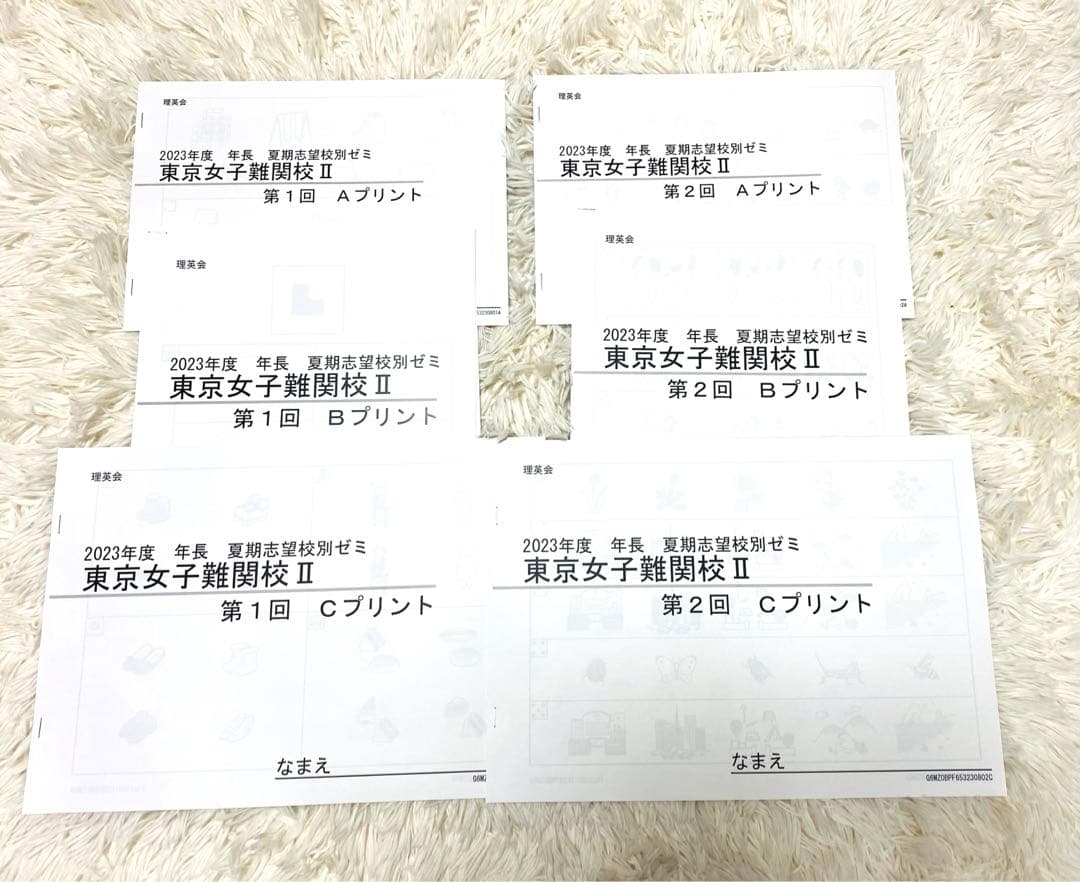 《訳あり》理英会プリント（問題無し）　東京女子難関校　夏期志望校別ゼミ
