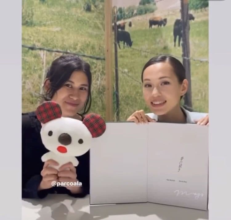 ラスト！【激レア！】水原希子直筆サイン　写真集　夢の続き