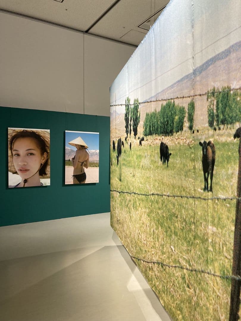 ラスト！【激レア！】水原希子直筆サイン　写真集　夢の続き