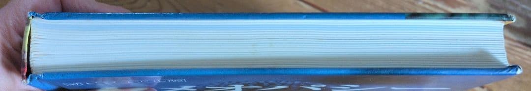 ＊ホメオパシー大百科事典＊新ビジュアル版＊