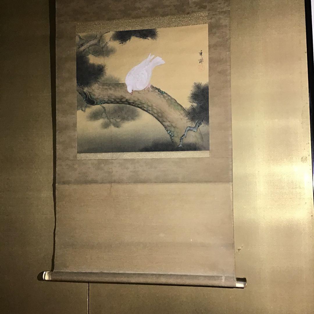 池上秀畝「鳩」 絹本 共箱 本物保証