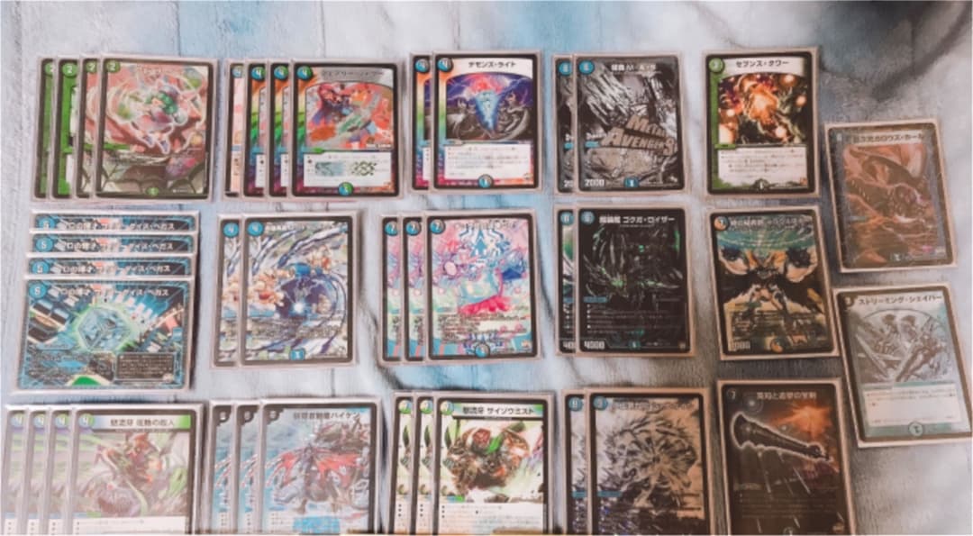 アナカラーシャコガイル