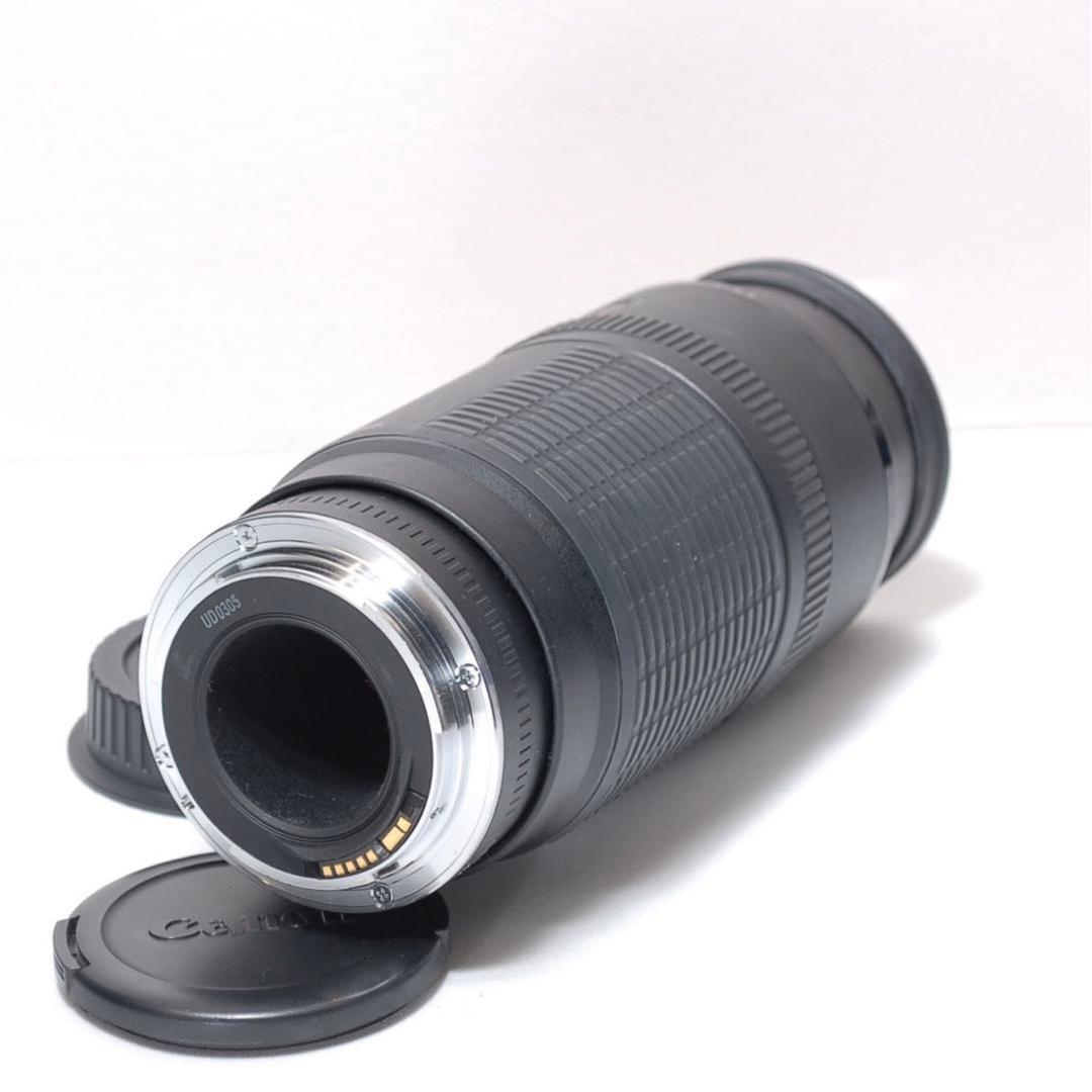 ✨F値固定✨Canon EF 100-300✨超望遠✨ズームレンズ✨