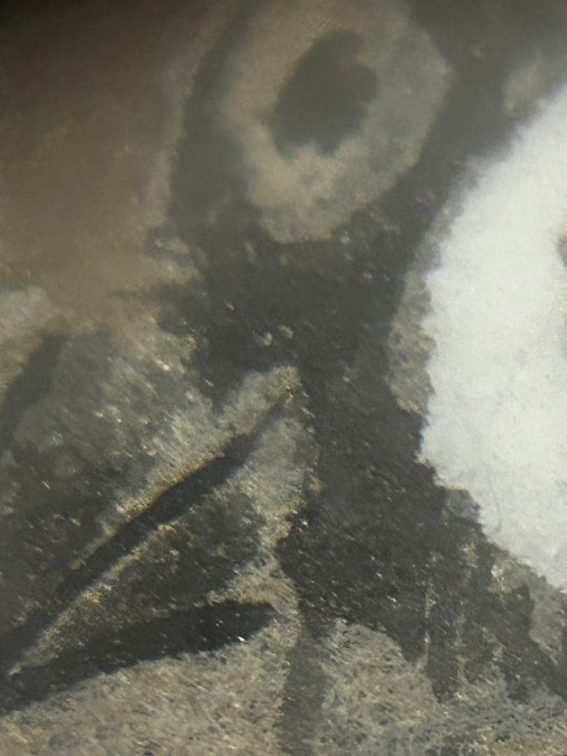 期間限定値下げ　処分価格　大倉雨村　「南天」