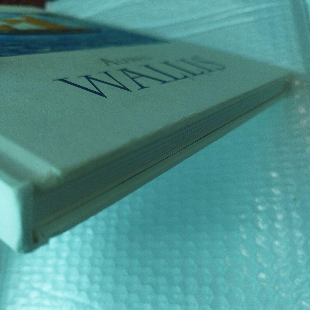 Alfred Wallis 2007年　138P HC　カバー角にわずかにウチ