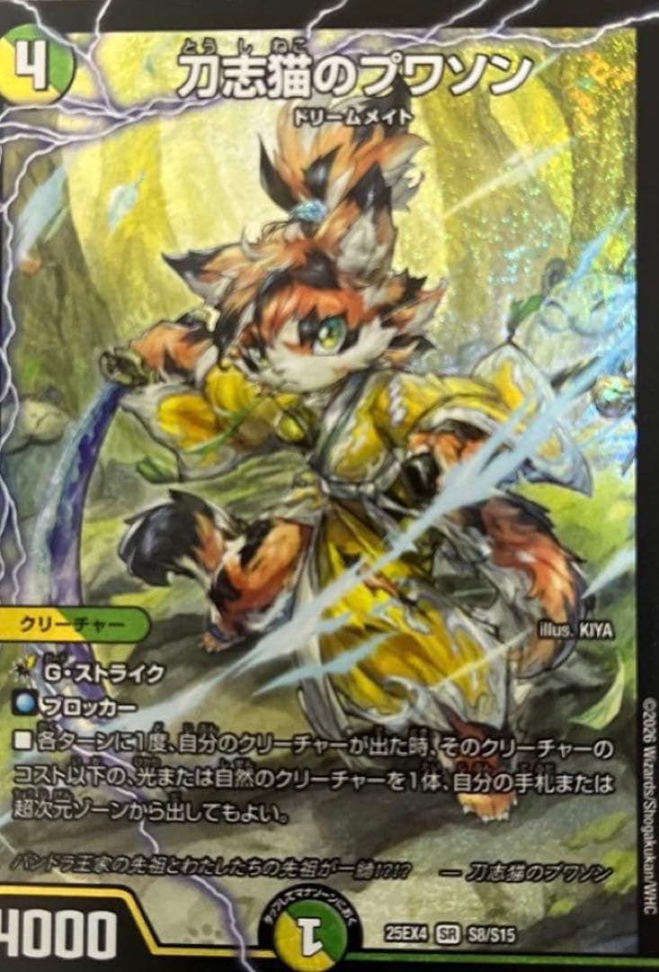 デュエルマスターズ まとめ売り プレイ用 バラ売り不可 値下げ可能