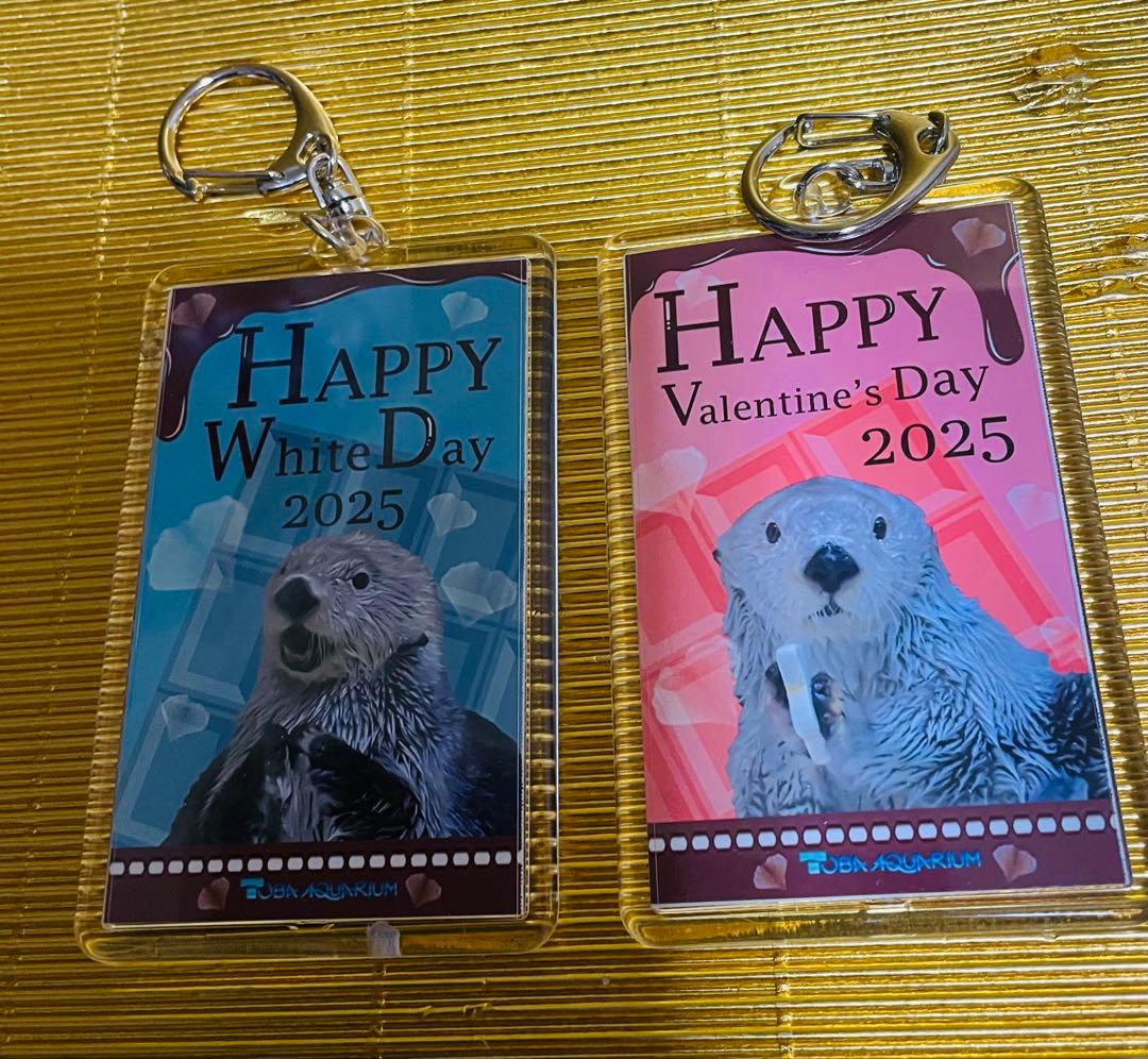鳥羽水族館⭐️ラッコ⭐️キラ✖️メイ⭐️キーホルダー⭐️4種8個セット