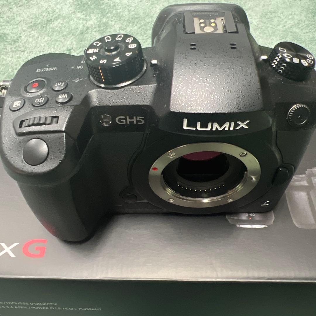 デジタルカメラ Panasonic LUMIX DC-GH5 概要 デジタル一眼カメラ/ボディ DC-GH5 | LUMIX（ルミックス） ミラー