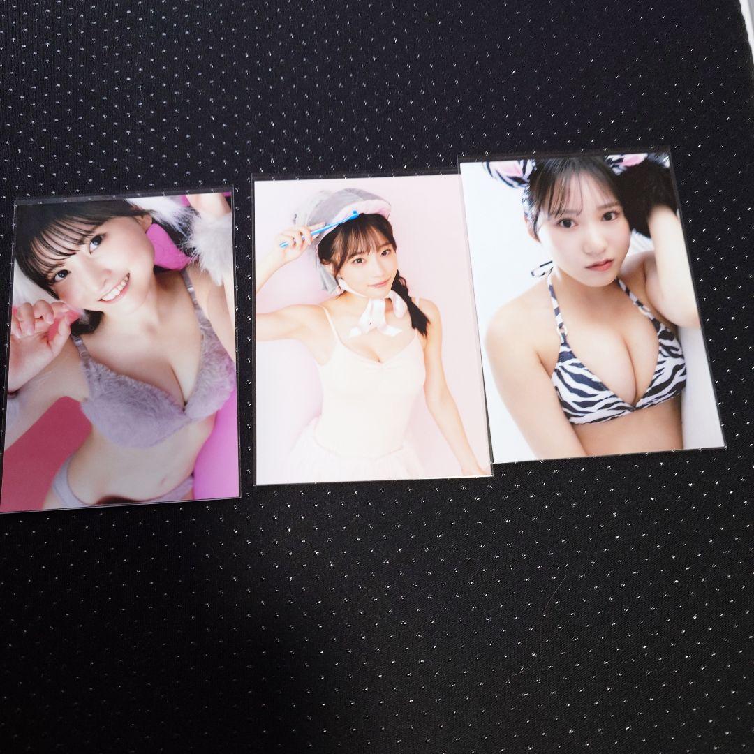 ゼロイチ動物図鑑 　岸みゆ、横野すみれ、小鳥遊るい３名の直筆サイン＆写真付き