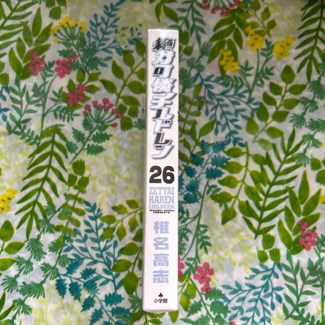 【絶版・未開封・特別限定版】絶対可憐チルドレン26