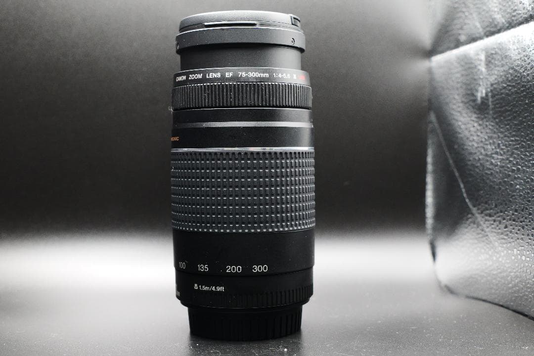 望遠レンズ　Canon EF 75-300mm f/4-5.6 III USM