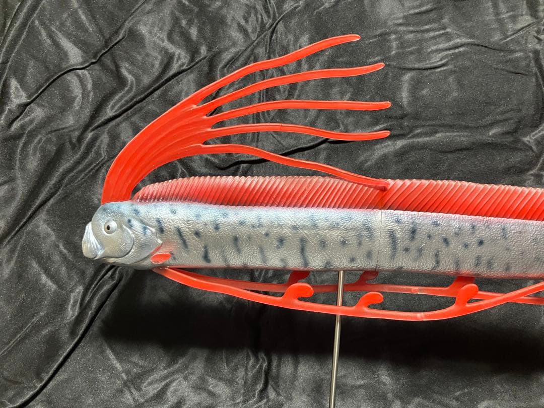 ディギ　リュウグウノツカイ Amazon.co.jp: リュウグウノツカイ&デメニギス 深海魚 PREMIUM
