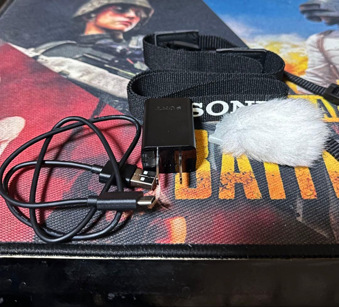 デジタルカメラ SONY ZV-E10 EPZ 16-50mm F3.5-5.6 OSS