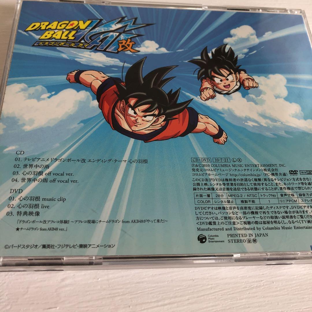 チームドラゴン from AKB48 心の羽根 DVD付き