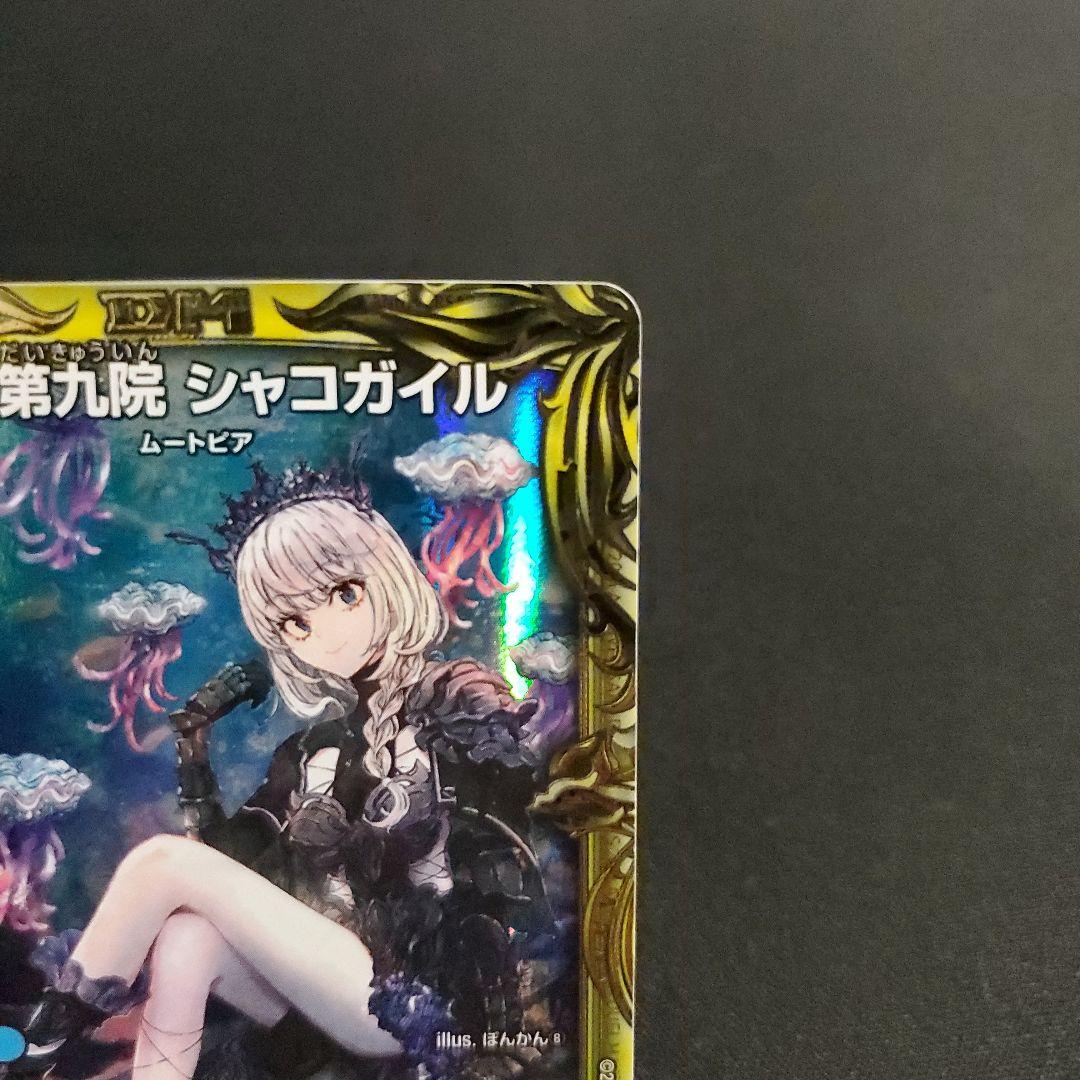 シャコガイル B 1枚 Bレアシャコガイル 20th B 1枚 2025年最新