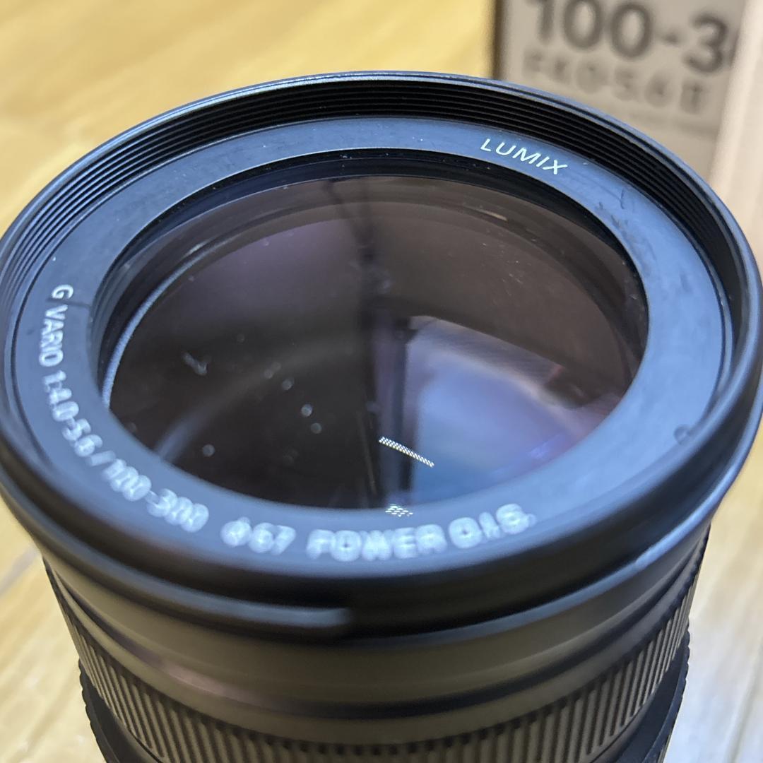 Panasonic LUMIX 100-300mm F4.0-5.6 ズームレン